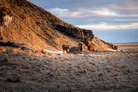 Rugged Existence