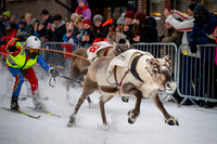 Reindeer Racing