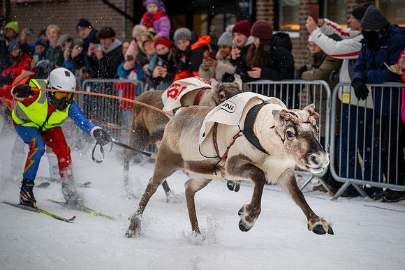 Reindeer Racing