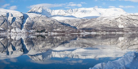 Reflected