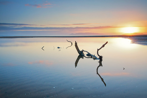 Nature's Sculptures