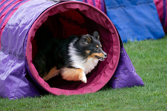Tunnel Time