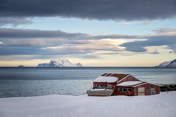 The BoatShed