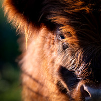 FarmFriends