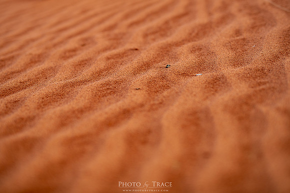 Flinders-RedSand
