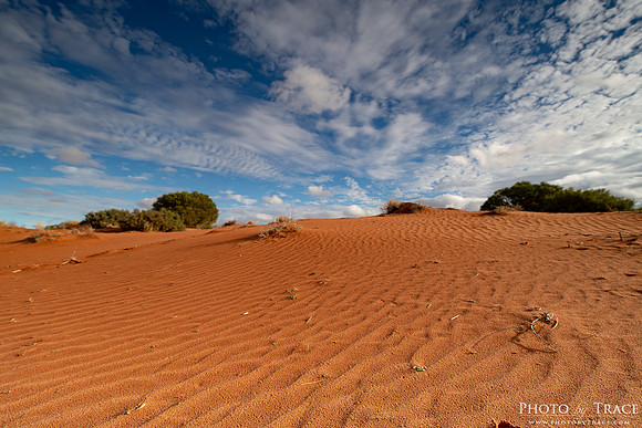 Flinders-RedSandDune