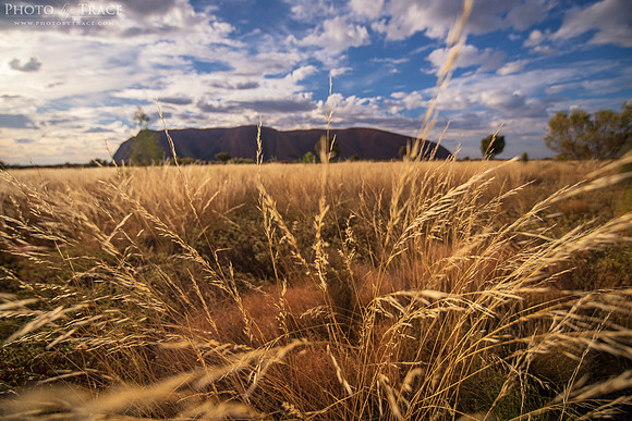 Uluru-GrassBreezes
