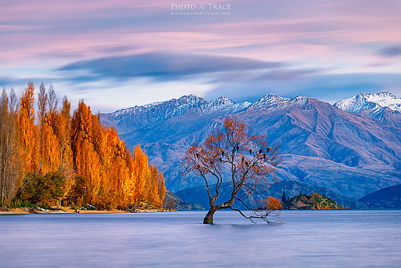 Lake Wanaka Colours