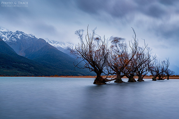 The March of angry Trees