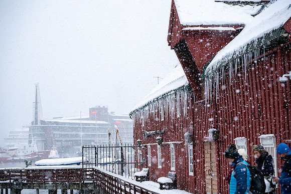 Icy City