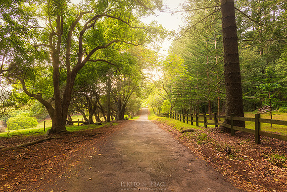 New Farm Road