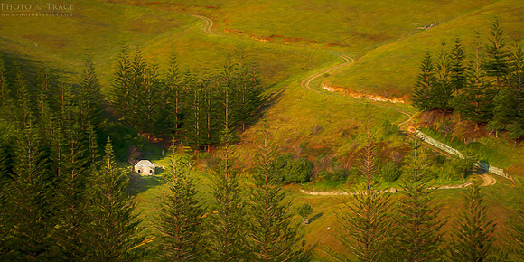 Nestled in the Pines