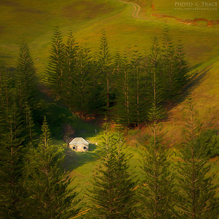 Nestled