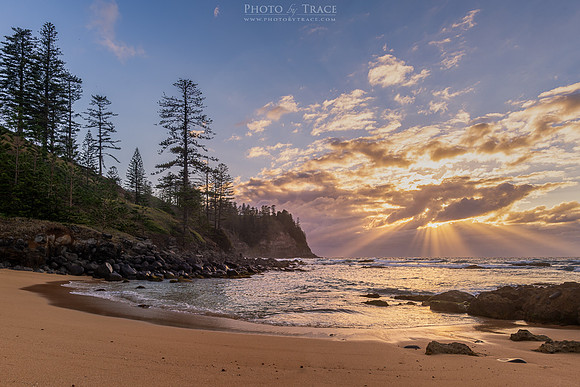 Norfolk Island Rays