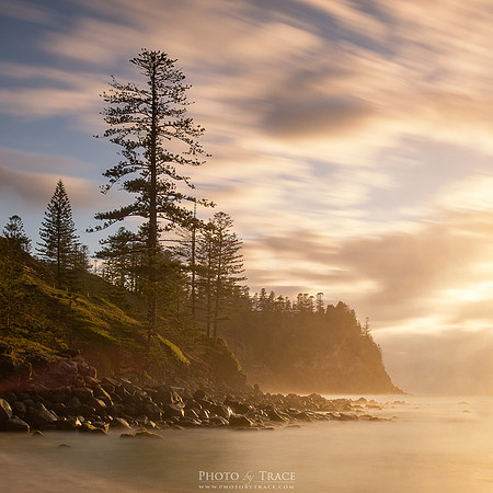 Morning Mist