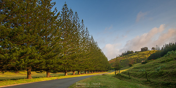 Country Road