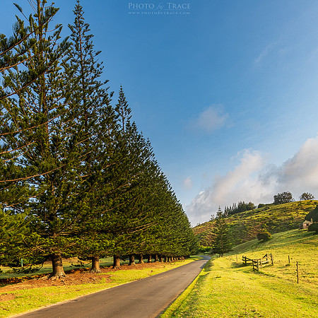 Country Road
