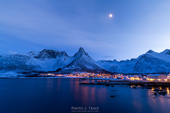 Moonlit