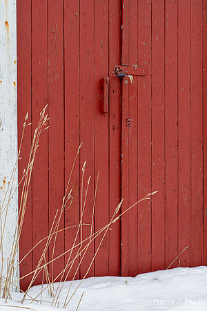 The Red Doors
