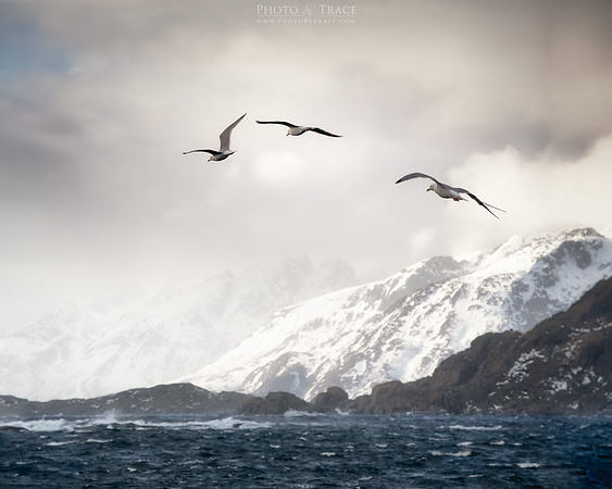 In Threes