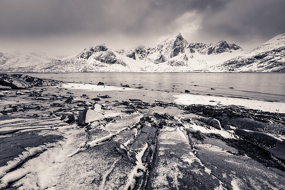 Bleak Beauty