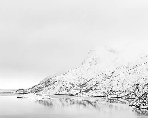 Fjord Fog