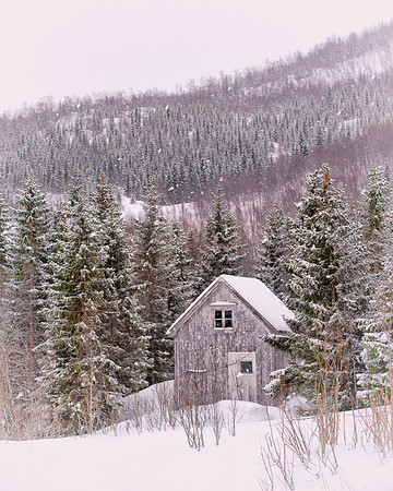 House by the Woods