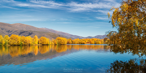Autumn Bliss