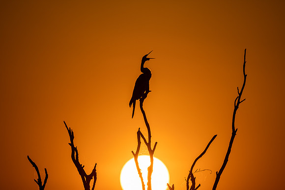 As the sun sets