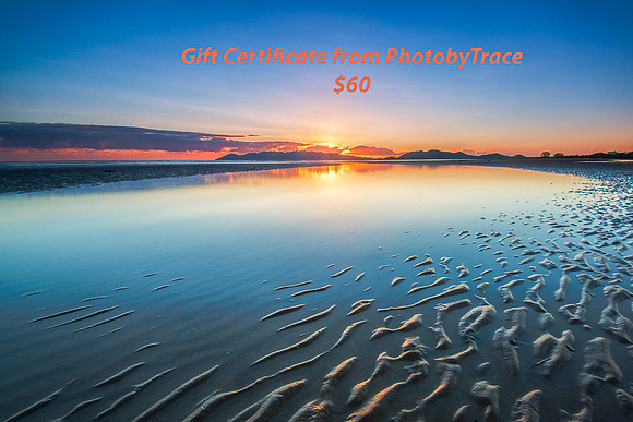 Gift Certificate $60