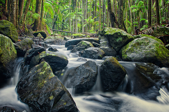 Cedar Creek