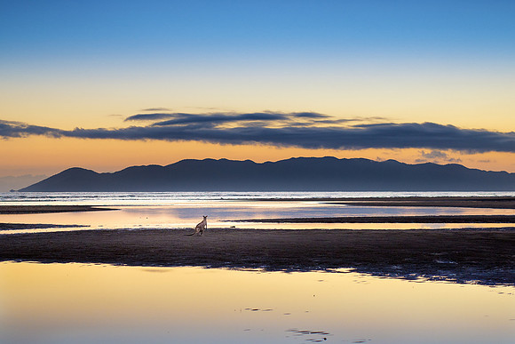 Sunrise Beach Roo