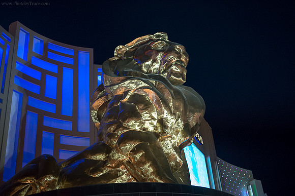 MGM Lion