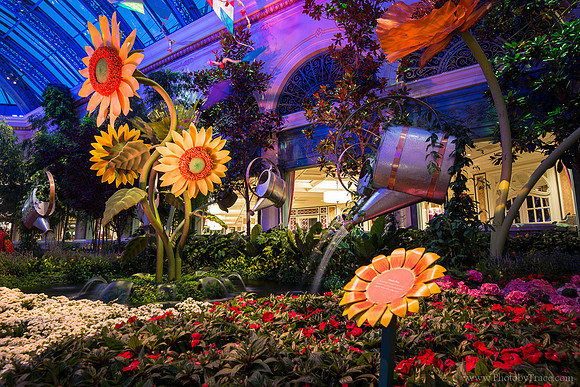 Bellagio Flower Garden