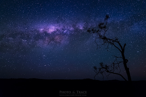 Starscape Silhouette