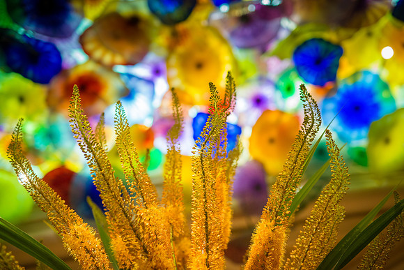 Kaleidoscopic