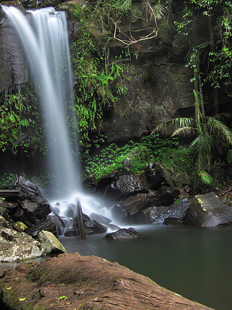 Curtis Falls