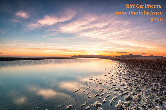 Gift Certificate $100