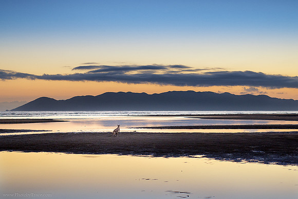 Sunrise Beach Roo